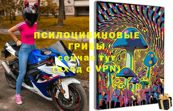 каннабис Белокуриха