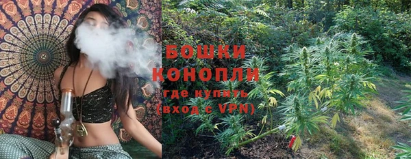 каннабис Белокуриха